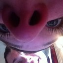 Josh Etter - @Josh__Etter - Twitter