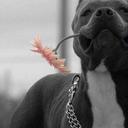 Fernando de Castro - @Larry_melo - Twitter