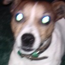 Ben Carew - @ben7carew - Twitter