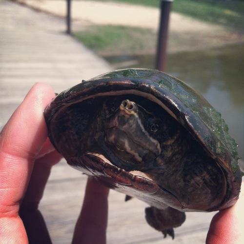 CatchingScience's profile picture. Catching Science brings the magic of science programs to the classroom.