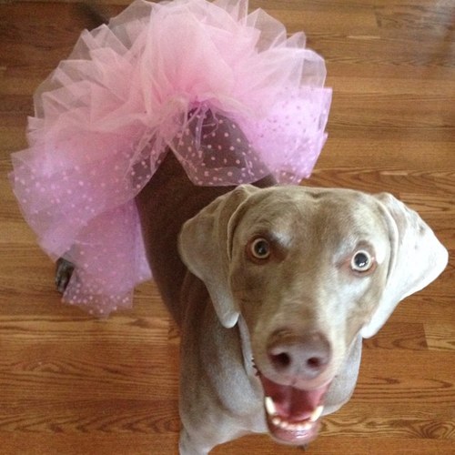 3_weims's profile picture. 