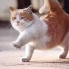 Cat Whisper Cinephile Gamer PS5/XBOX Scorsese QT Villeneuve Daniel Day Lewis Robocop Predator Tay Tay Indian Food BBQ Ribs Liberal Reader Writer TV/Streaming