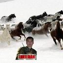 OSCAR BADILLO  - @OscarOmarBB - Twitter