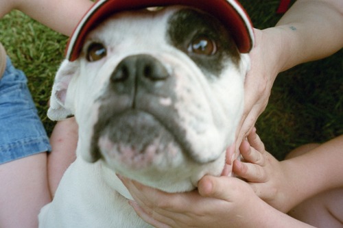 LLDSugar's profile picture. Author of Julamay loves Chancey and a Collection of Short Stories