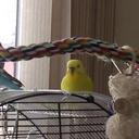 susan lynn wittekind - @SonshineSusan - Twitter