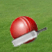 Upcoming Cricket Tours Schedules & Fixtures, Results
