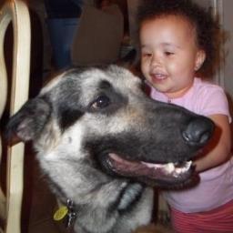 I am a pure bred German Shepherd that was rescued & want to help my pack friends,  @GaDaH-sa, a NO KILL German Shepherd Rescue find perfect forever homes.
