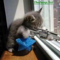 joseantonioascu's profile picture. estudiante