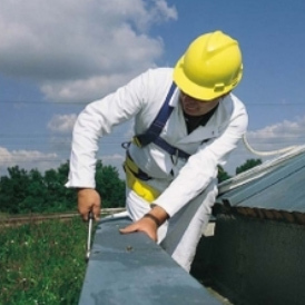 SafetyAnchors's profile picture. 