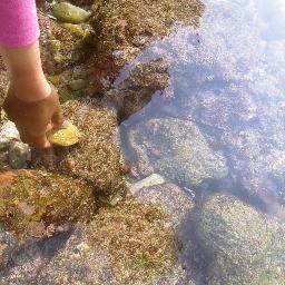 Bib_twit_twit's profile picture. be quite