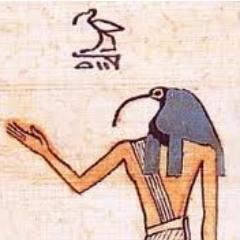 dual_visions's profile picture. 