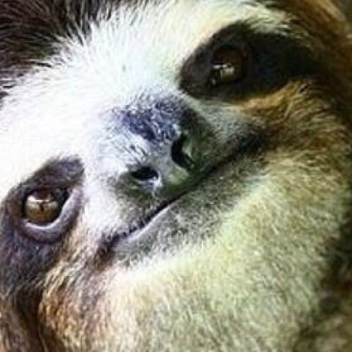 larrylover30's profile picture. Chocolate Milk. :)