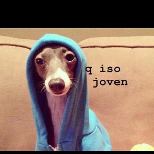 100Grassa mesmo , nao gostou dá unfollow