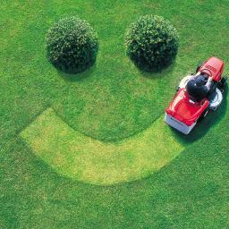 We are a small business that can make your lawn look the best it can. We mow, we pull weeds,we trim, and we do many other things to make your neighbors jealous!