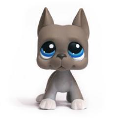 brandongreatdan's profile picture. i am a guy, i'm very hot. i am not taken. and i want a girl friend. and that's it. and i also have a big crush on Brooklyn Hayes.