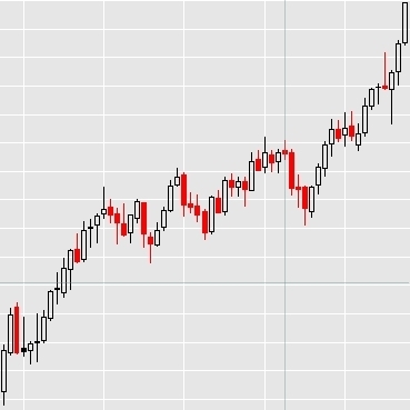 Professional CANSLIM Trader and Teacher