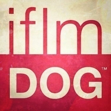 @iflmDog & #iflmDog on Instagram. brought to you by @justthegritty. buy the book at http://t.co/1A8MrJ7i5W