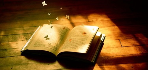 Distribuidora de libros para la ciudad de Guamúchil.