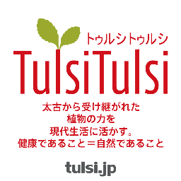 聖なる植物・アーユルヴェーダで最重要な薬草インドのホーリーバジルを