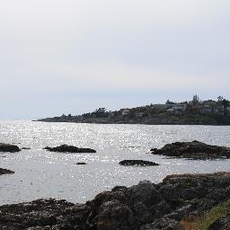 inquisitivebc's profile picture. Realist, pragmatist, inquisitive of groupthink