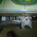 HECTOR FABIO MUÑOZ   - @HEMUTRON - Twitter