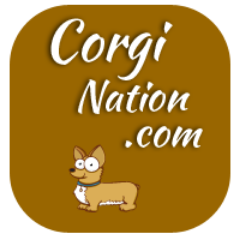 CorgiNation's profile picture. http://t.co/63p5l66ZlV is a website for Corgi lovers.  We are new, but growing quickly.  Think of it as Facebook, but built around Corgi Lovers.