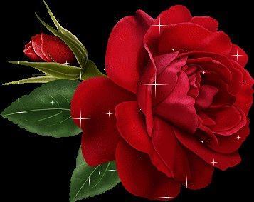 Professor of Quality and Productivity in healthcare sector, Nursing Adminstration.. Interested in all happenings and news .. looking for happiness and wellness