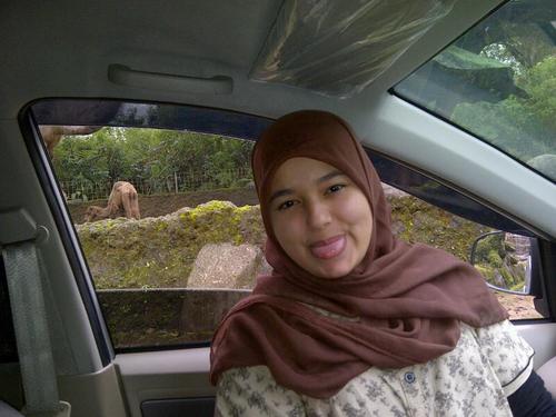 smile everyday, everywhere