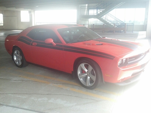 fuckit_lehgo's profile picture. 