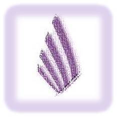 medicalhelpsg's profile picture. Medical help, drug photos, singapore, prescription, medicine,medical