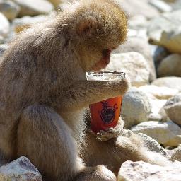 Look, I'm just a monkey with a beer. but you might enjoy what I say. you might even learn something, but that may be a long shot.