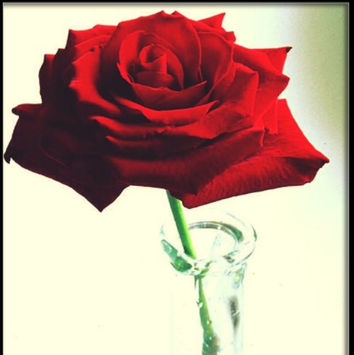 miss_jooory's profile picture. 