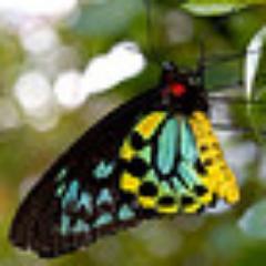 Life Coaching is a collaborative process that helps the client to propel their lives forward toward desired success.