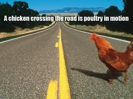 applegate_rick's profile picture. I'm really into chicks.