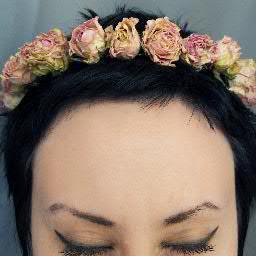 NoKristy's profile picture. 