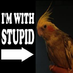 I'm a bird named Stupid. My owner is a jerk. It claims it named me after a lovable bird from a book it read but try explaining THAT to people. I like seeds.