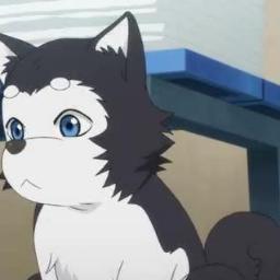 zoltanferenc's profile picture. love MUSCLE & TENNIS! love MODEL GUYS & ACTORS! love One-Punch Man etc...! And love PEACE!!!