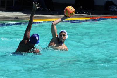 SebBidoli's profile picture. 