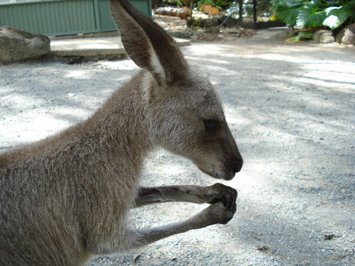 nepoporon's profile picture. IoT/センサー/データ活用/道路交通/たらこパスタ/コーヒー党
＊＊情報収集と備忘メモが主です。