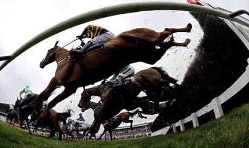 Horse racing tips, my tips are my best bets of the day...