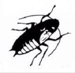 We are a family run pest control company offering pest control thoughout London, Surrey, Sussex & Kent
