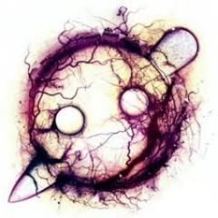 PeterInwood's profile picture. Names Peter. Music: Knife Party, Sub Focus, Deadmau5, Swedish House Mafia and Pendulum