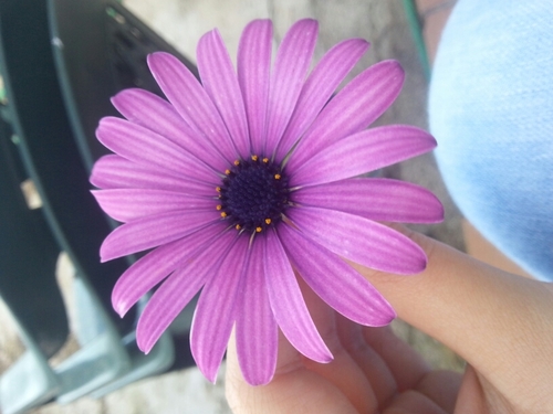 Khristinna98's profile picture. Belieber! I love: Justin Bieber, Nicki Minaj, YMCMB, 10 reason for hate you and he! Viva hora de aventuras y los perros con cejas!! ♥