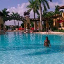 Karen Anselmo - @deepdivr21 - Twitter