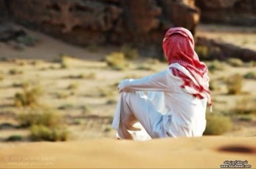 معلن عقاري مرخص من هئية العقار رخصة فالـ رقم 1100016793 للتواصل 0553599906