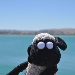 Hi. I am Wilbur, a scouting mascot, hanging out with Golden Grove Cubs. My blog  and Twitter account has been set up so that people can follow my adventures.