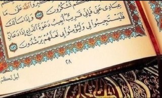 لا أُجِيدُ الكِتَابَةَ عَنْ وَالِدَتِي !! فَلَا أَحَدْ يَسْتَطِيعُ وَصْفَ جُزْءاً مِنْ الجَنَّةِ