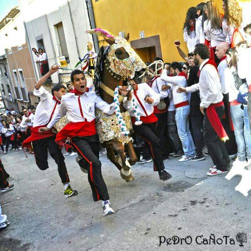 frangoldetorres's profile picture. Al camino recto por el mas torcido