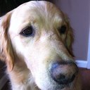 Emma McNally - @mcnally1509 - Twitter