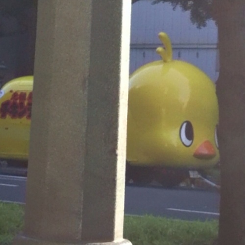 もちさんのプロフィール画像